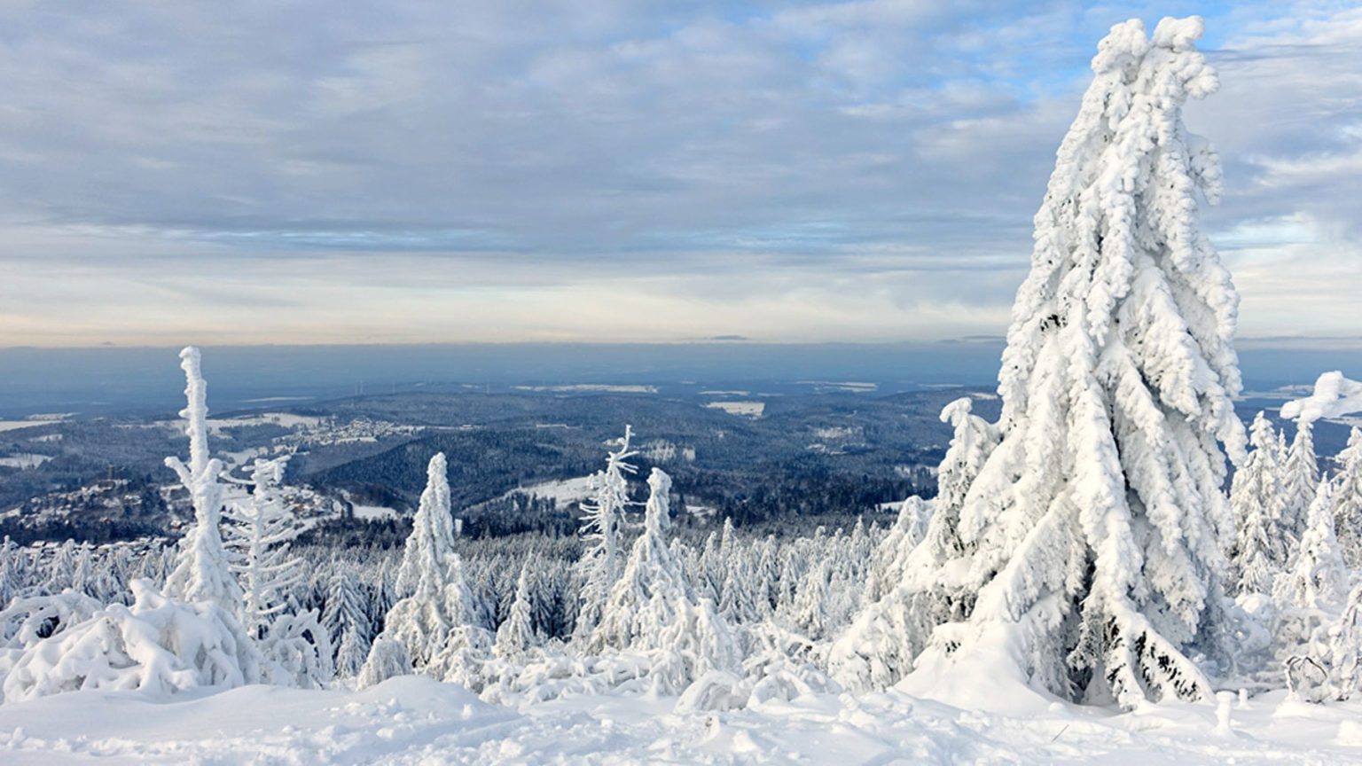 TAUNUS Skiwanderungen auf den Großen Feldberg